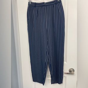 Aritzia Modesto pants in size 6 US